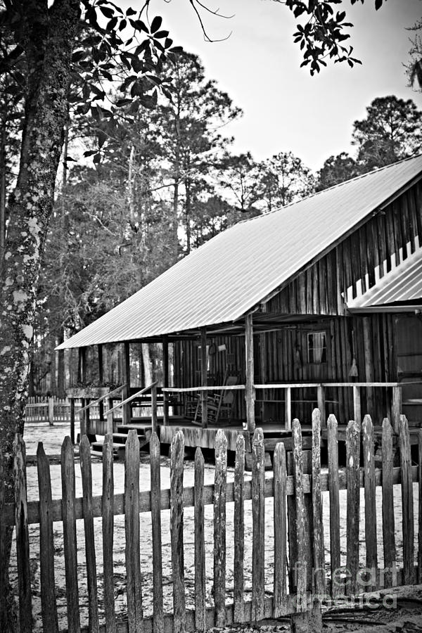 Home Swamp Home Photograph by Southern Photo