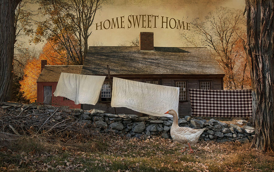 Home Sweet Home Photograph by Robin-Lee Vieira