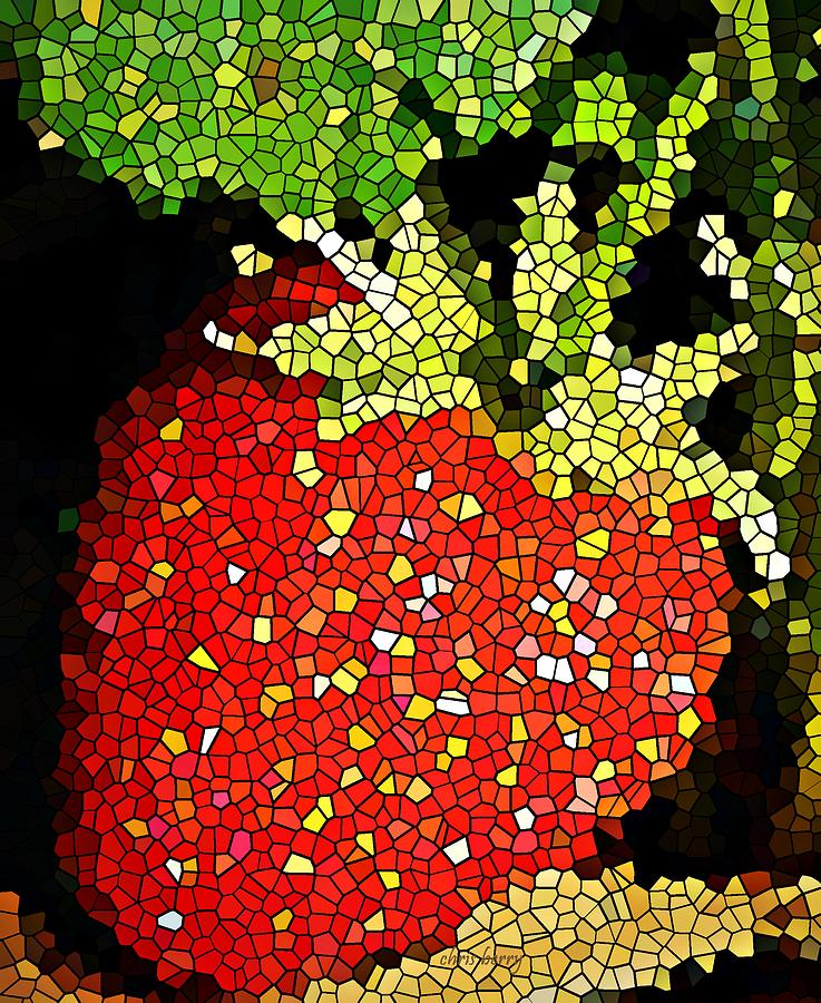 Summer Photograph - Homegrown Strawberry Mosaic by Chris Berry