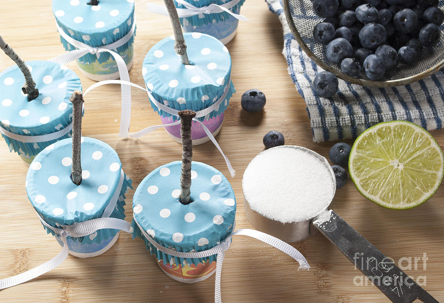 Homemade Blueberry Popsicles Photograph by Juli Scalzi
