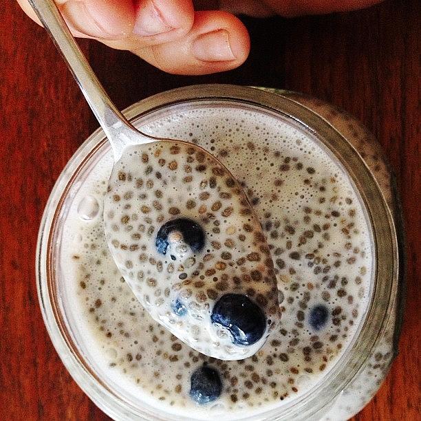 Homemade Chia Pudding With Blueberries Photograph by Bonnie Gail