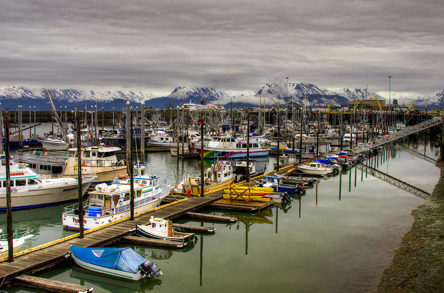 Homer Alaska Pier Photograph by Natasha Bishop