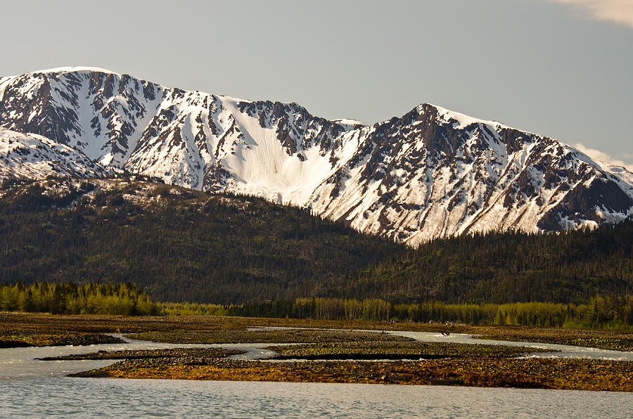 Homer Alaska Shore Photograph by Natasha Bishop