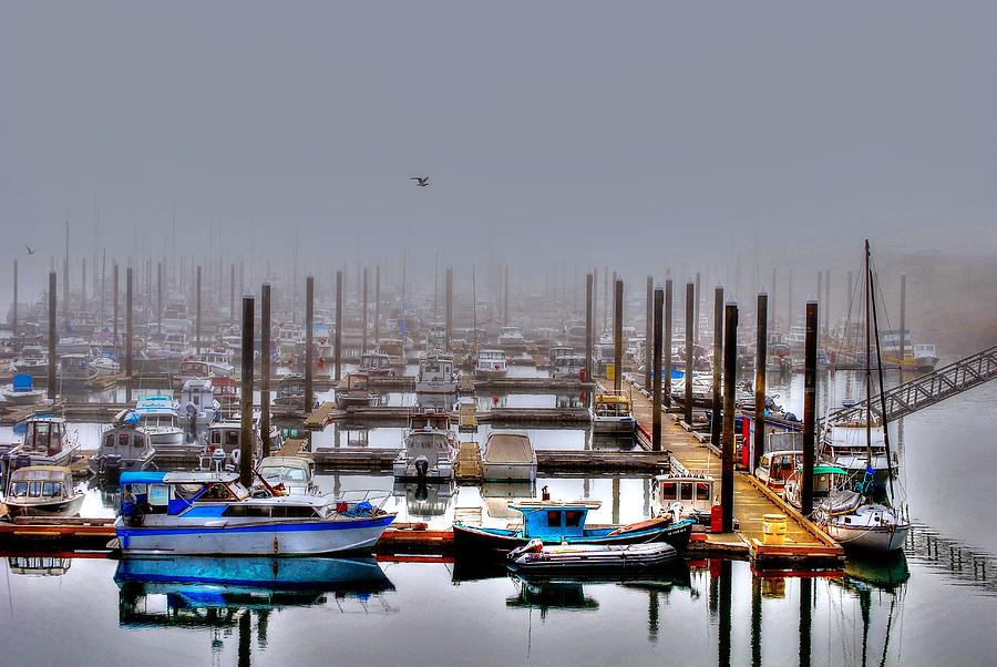 Homer Harbor Photograph By Cassandra Larcombe Fine Art America