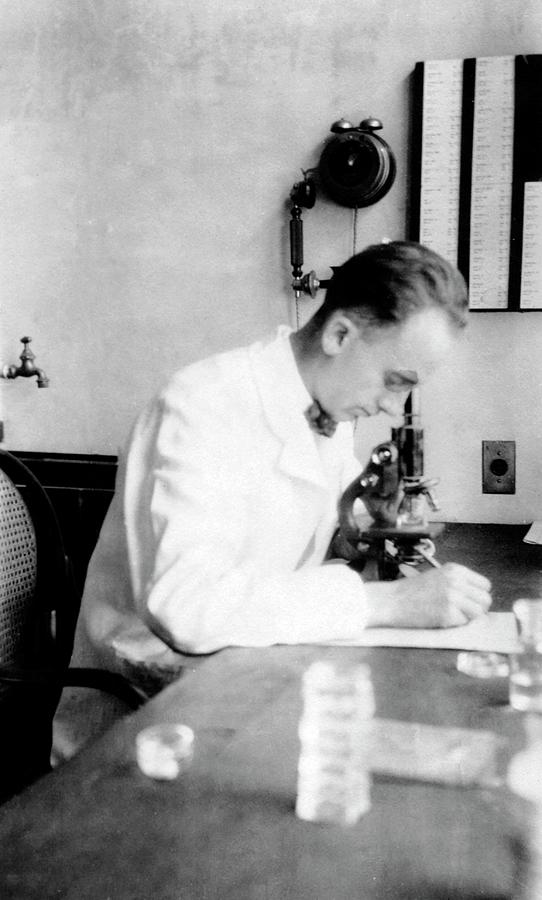 Homer Smith Photograph by Science Photo Library Homer Smith Photograph by Science Photo Library