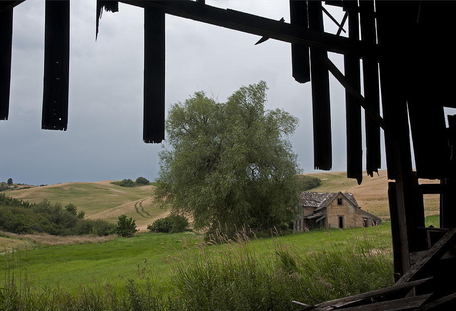 Homestead and Barn Photograph by Doug Davidson