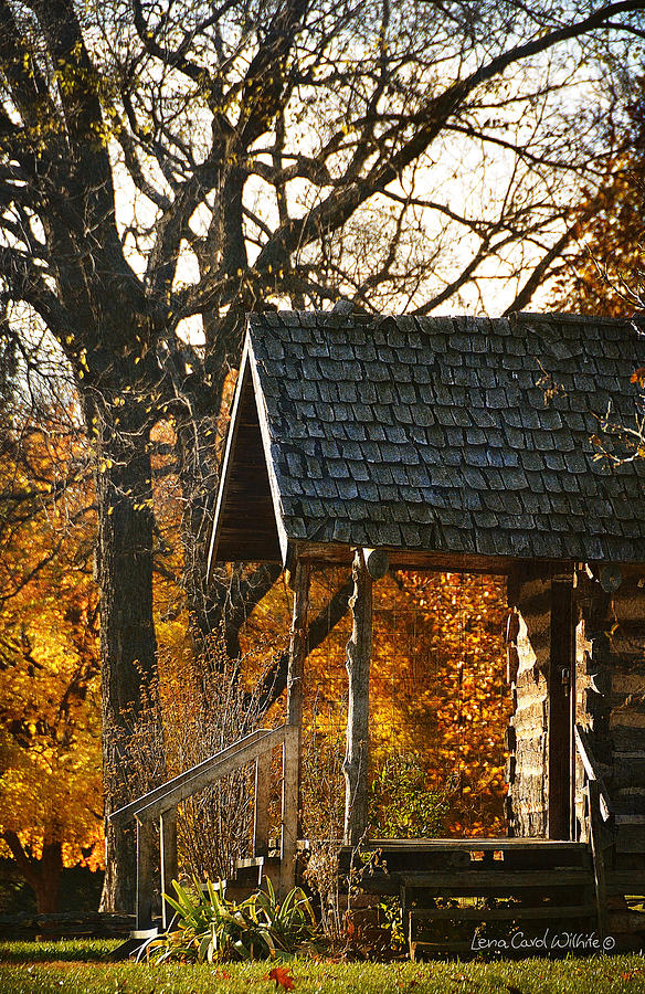 Homestead Cabin Porch Photograph by Lena Wilhite