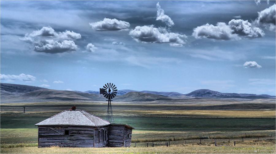 Homestead by Donald J Gray Homestead by Donald J Gray