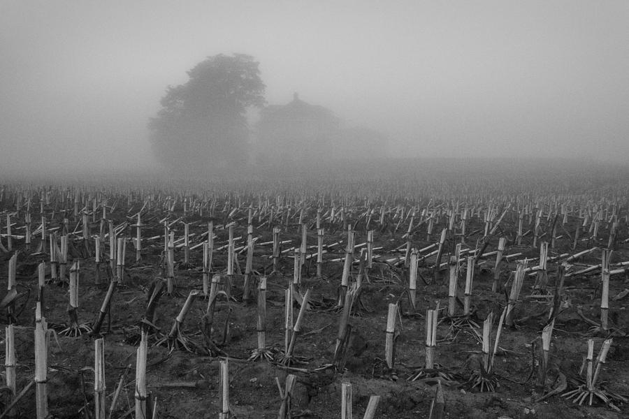 Homestead Fog Photograph by Bill Pevlor