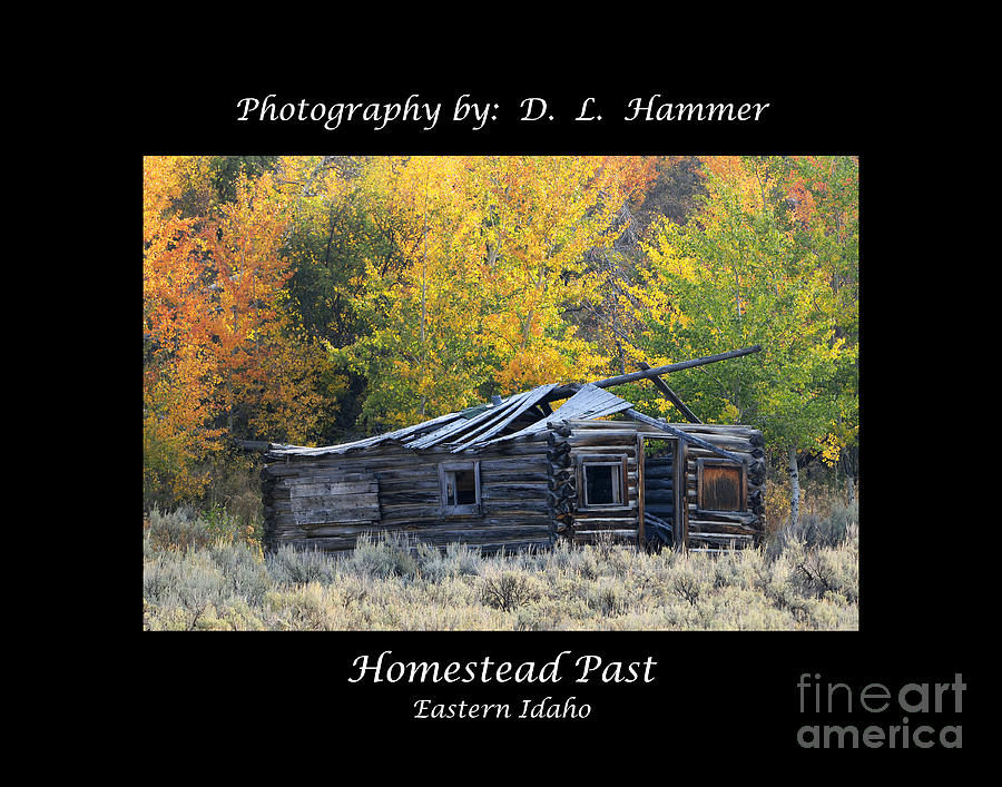 Homestead Past Photograph by Dennis Hammer