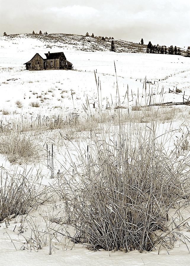 Winter Photograph - Homestead by Terry DeHart