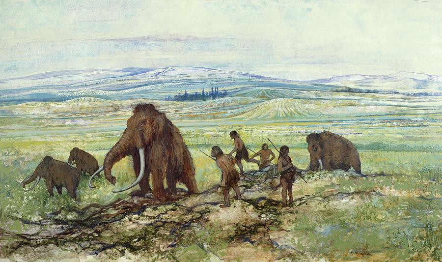 Hominids Hunting Mammoths Photograph by Natural History Museum, London/science Photo Library