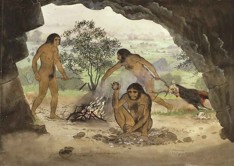 Homo Erectus Photograph by Natural History Museum, London/science Photo Library