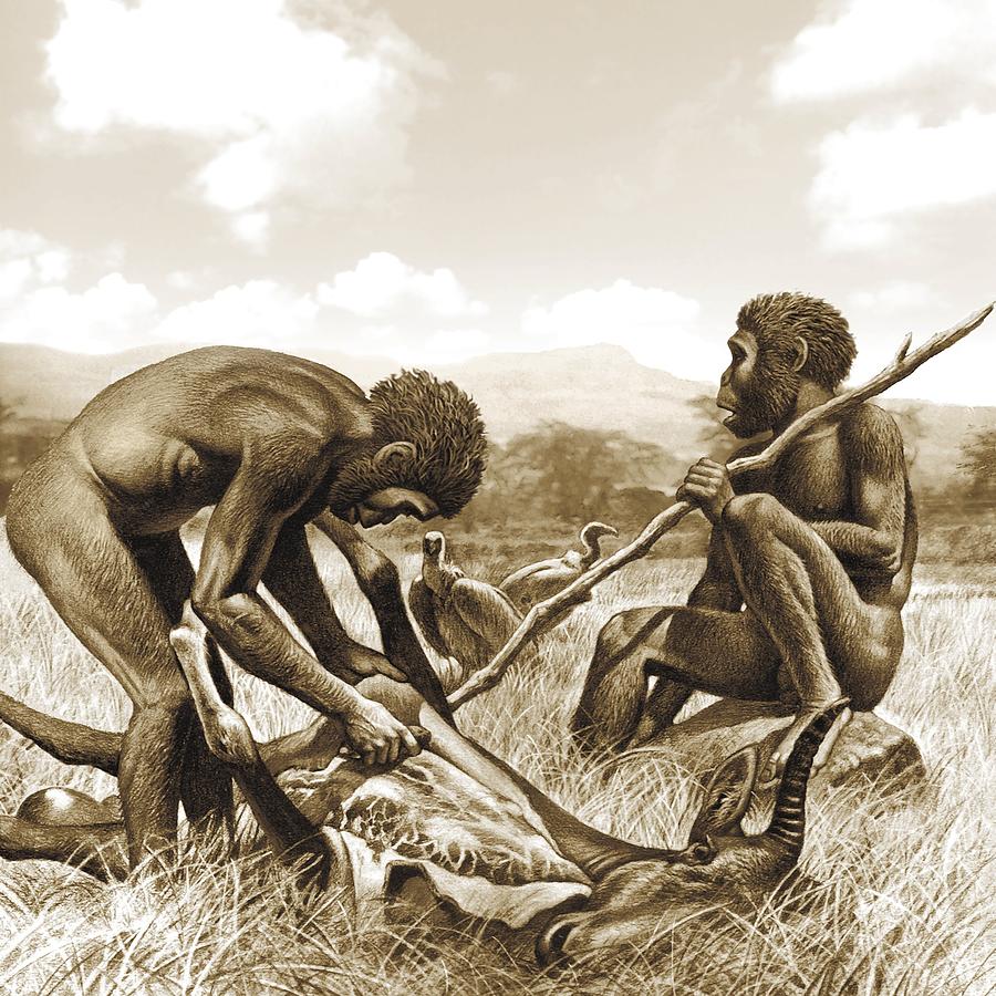 Prehistoric Photograph - Homo habilis hunting, artwork by Science Photo Library