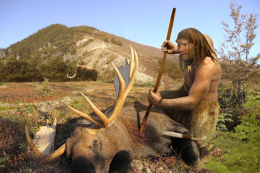 Homo Neanderthalensis Hunting Photograph By Roman Uchytelscience Photo Library 3537