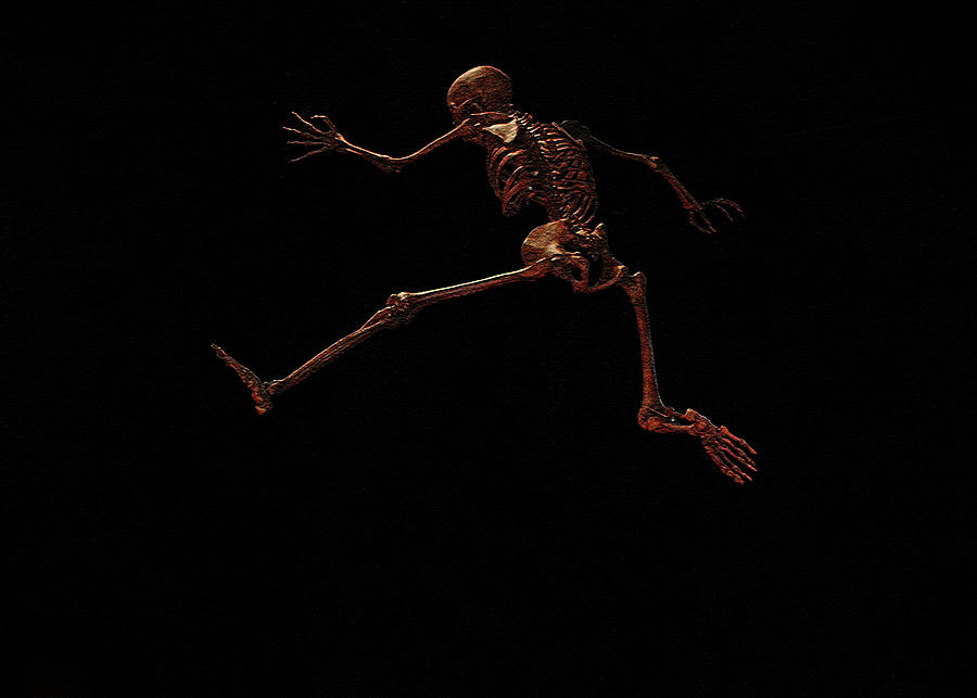 Homo Sapien Running Photograph by Connie Fox