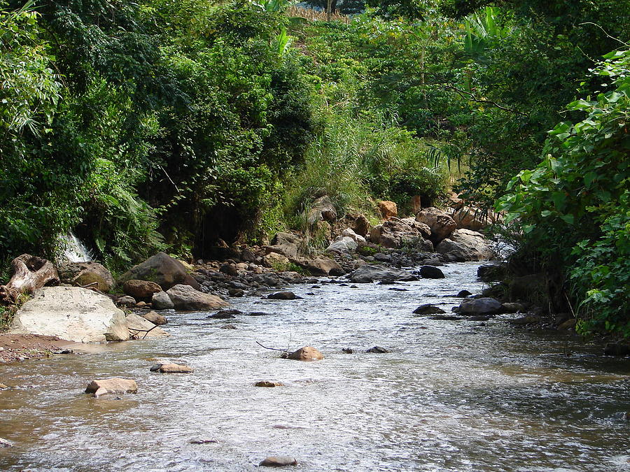 Honduras Mountain River Photograph by Lew Davis - Fine Art America