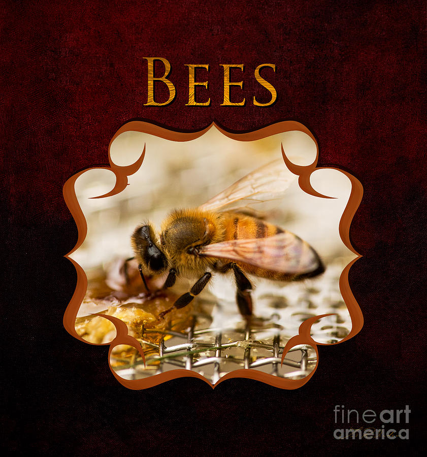 Copyright Owner Photograph - Honey Bee Eating Honey by Iris Richardson
