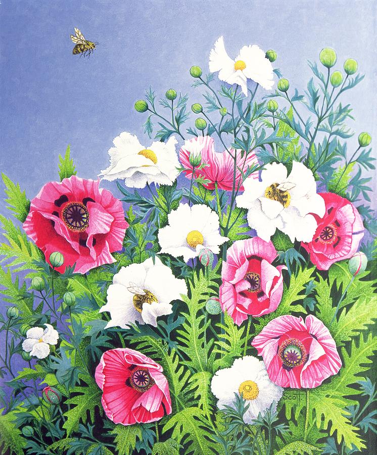 Flower Painting - Honey Bee, Honey Bee  by Pat Scott
