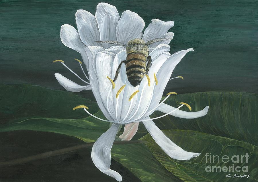 Insects Painting - Honey Bee by Tom Blodgett Jr