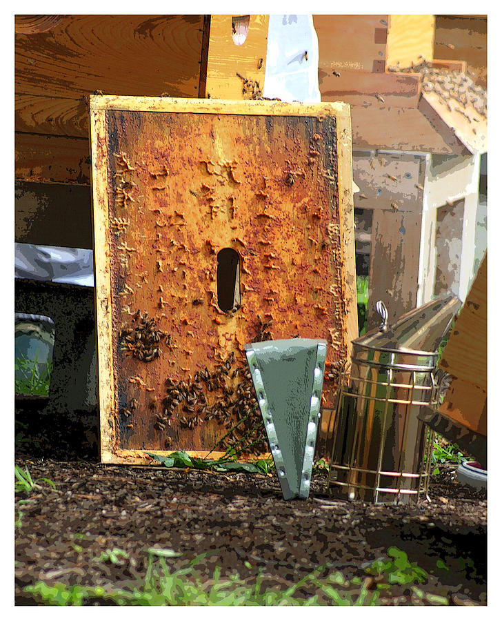 Honey Bees Photograph by Margie Avellino