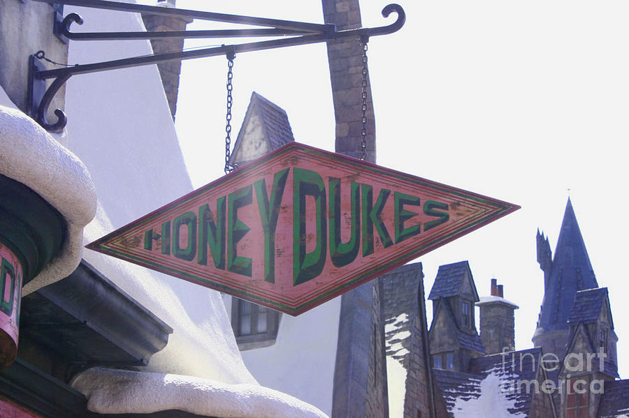Honey Dukes Sign Photograph by Shelley Overton