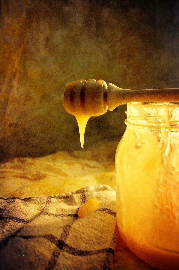 Honey Love Photograph by Randi Grace Nilsberg