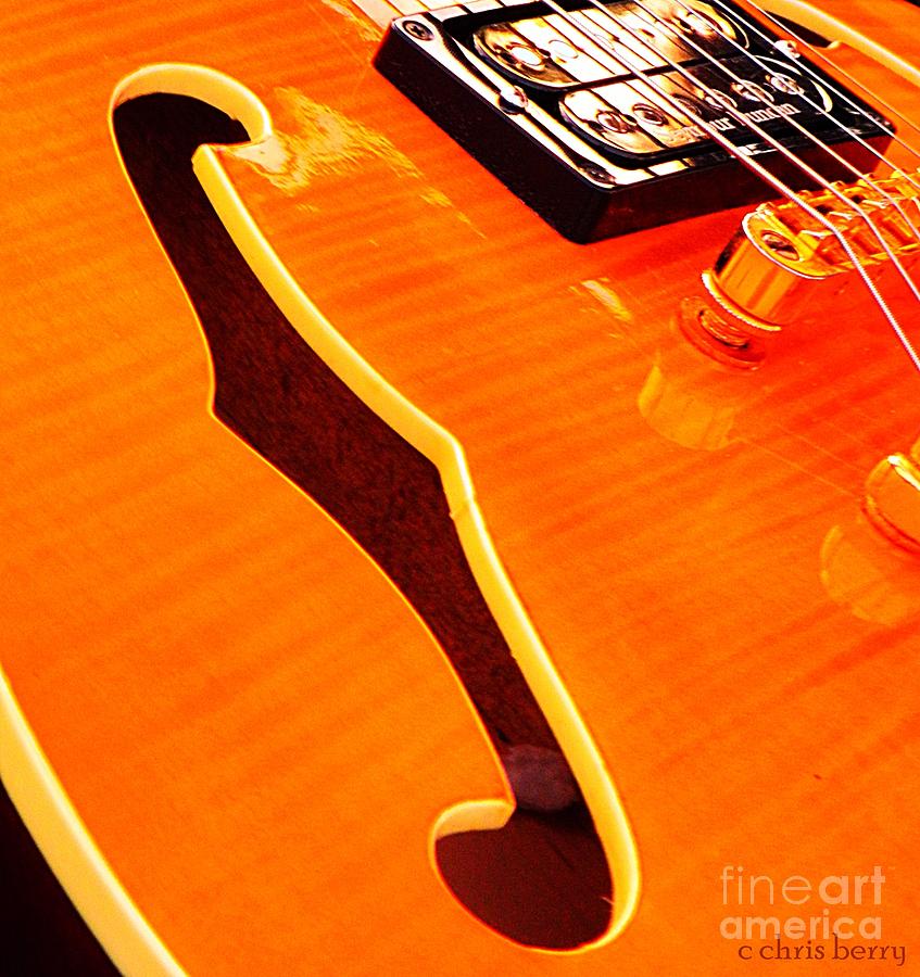 Honey of a Guitar Photograph by Chris Berry