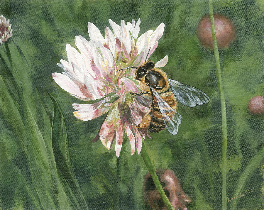 Honeybee on Clover Painting by Lucinda VanVleck