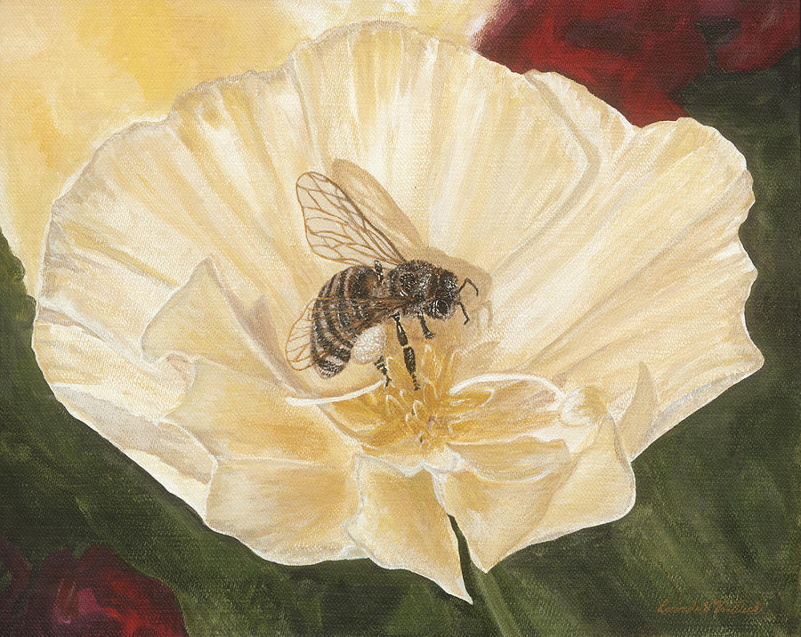 Honeybee on Cream Poppy Painting by Lucinda VanVleck