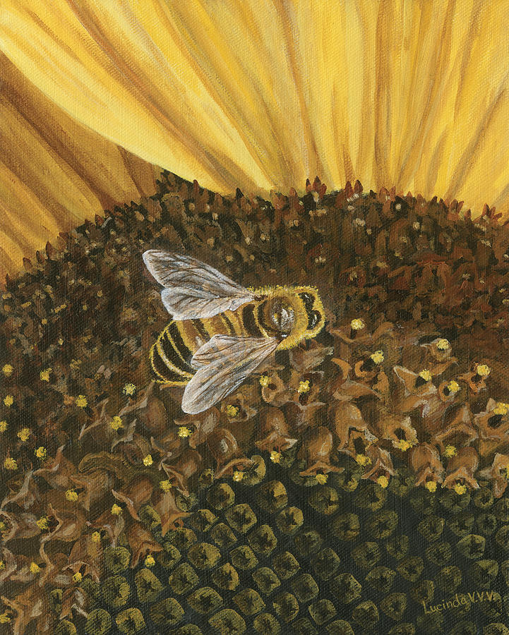 Honeybee on Sunflower Painting by Lucinda VanVleck