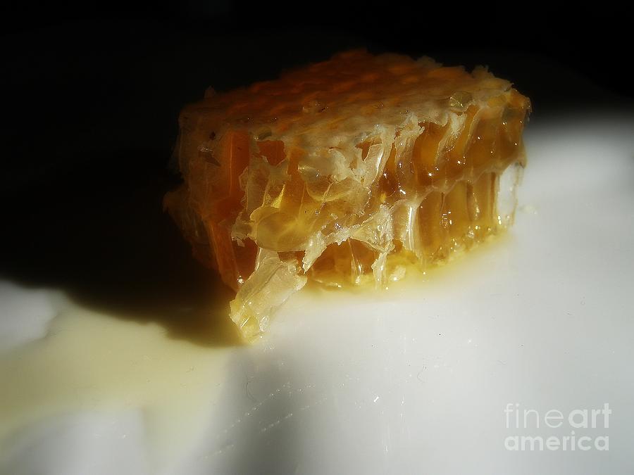 Honeycomb Photograph by Kristine Nora