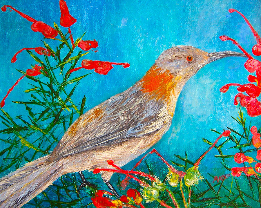 Honeyeater bird Painting by Jan Matson - Fine Art America