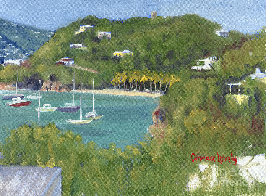 Birds Eye View Honeymoon Beach North Painting by Candace Lovely
