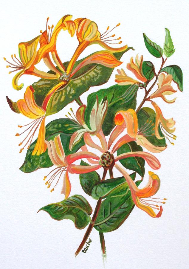 Honeysuckle Painting by Taiche Acrylic Art