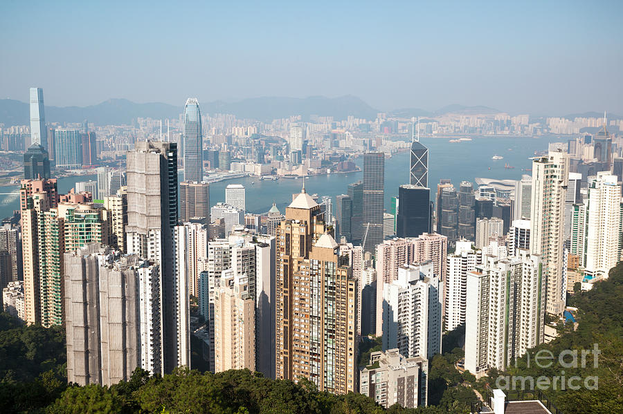 Hong Kong harbor from Victoria peak in a sunny day Photograph by Matteo Colombo