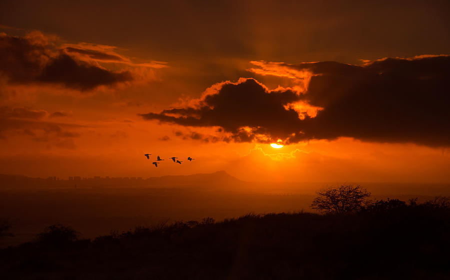 Honolulu Diamond Head sunrise Photograph by Tin Lung Chao