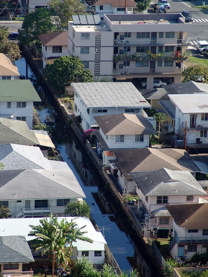 Honolulu Rooftops Photograph by Jerilyn Chevalier Fine Art America