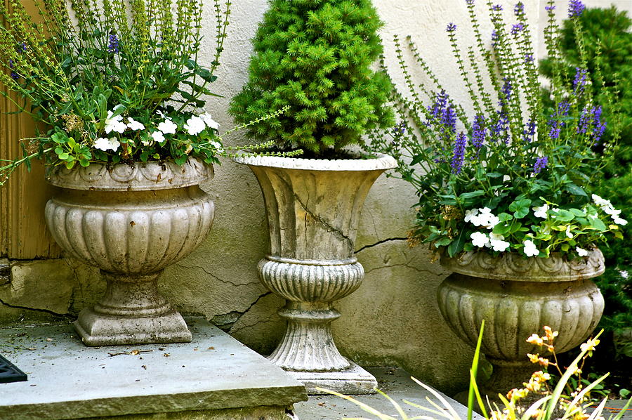 Garden Photograph - Honorable Urns by Ira Shander