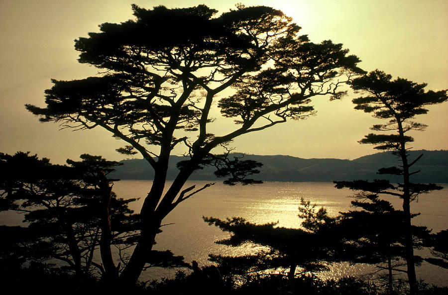 Honshu, Japan Photograph by George Holton