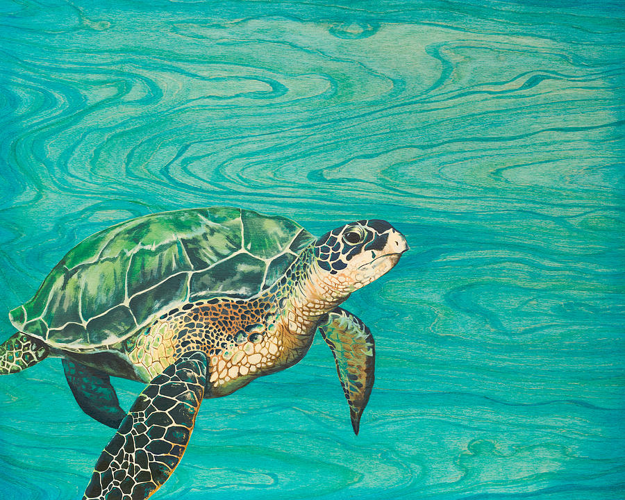 Turtle Painting - Honu by Emily Brantley