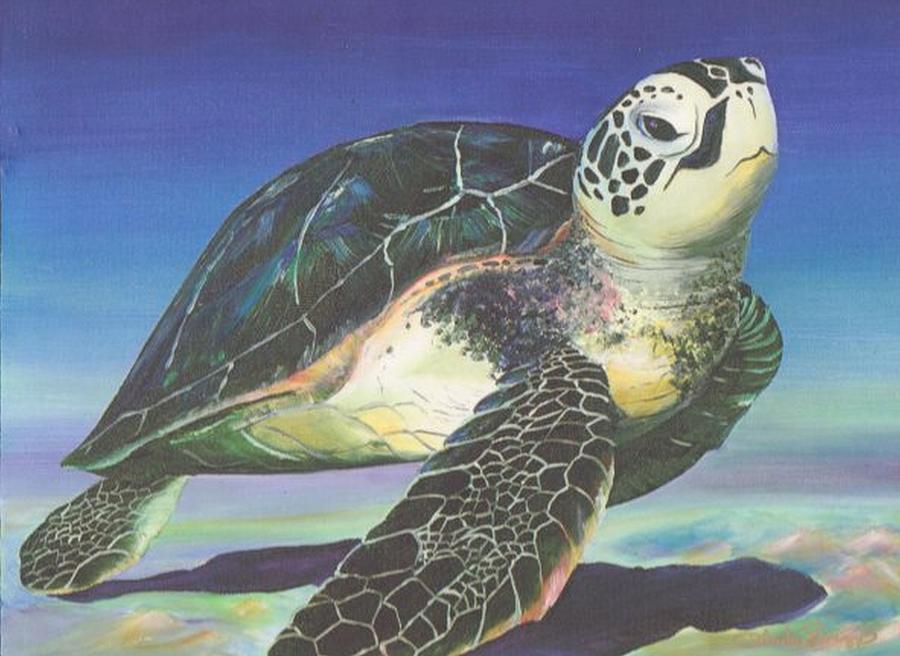 Turtle Painting - Honu by Linda Briggs
