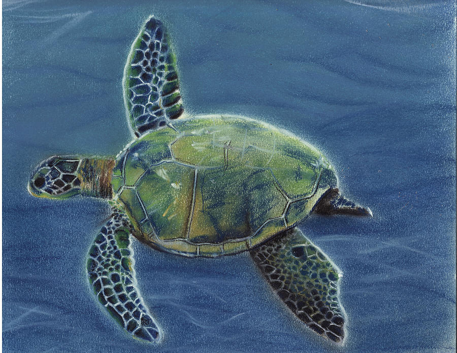 Honu by Michaeline McDonald - Honu Painting - Honu Fine Art Prints and ...