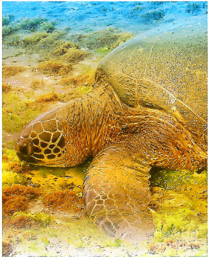 Hawaii Digital Art - Honu  Sea Turtle by Dorlea Ho
