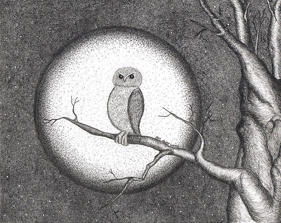 Owl Pointillism Drawing By Marie Wern