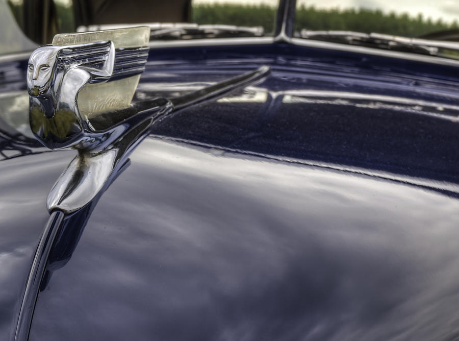 Hood Ornament For 1940 Chevrolet Photograph by Thomas Young