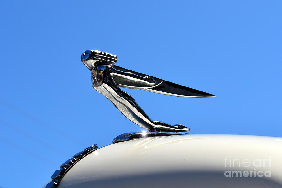 Hood Ornament Photograph by Kevin Fortier