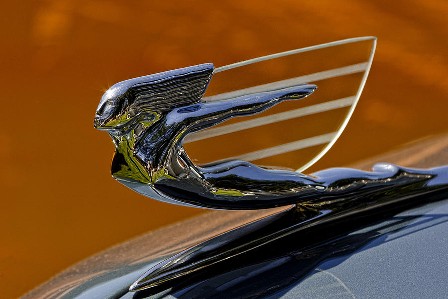 Hood Ornament Photograph by Wes and Dotty Weber