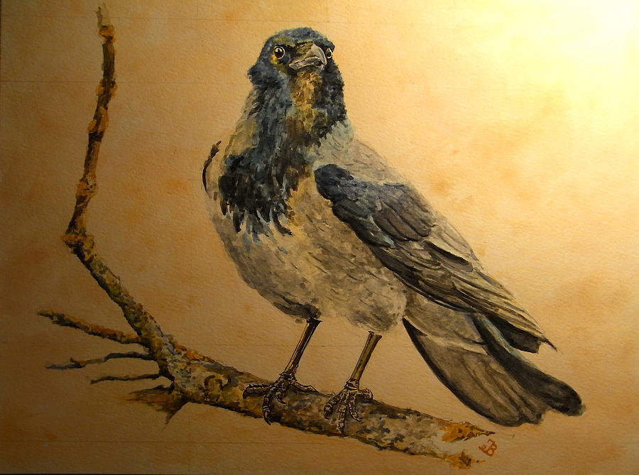 Berlin Painting - Hooded Crow by Juan  Bosco
