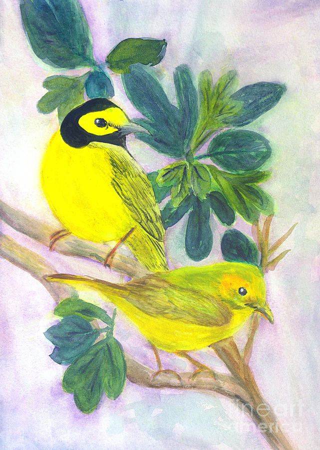 Bird Painting - Hooded Warbler by Donna Walsh